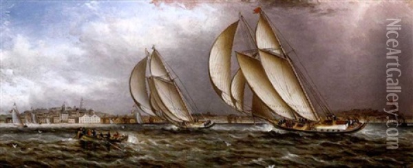 Yacht Race In Gloucester Harbor Oil Painting - James Edward Buttersworth