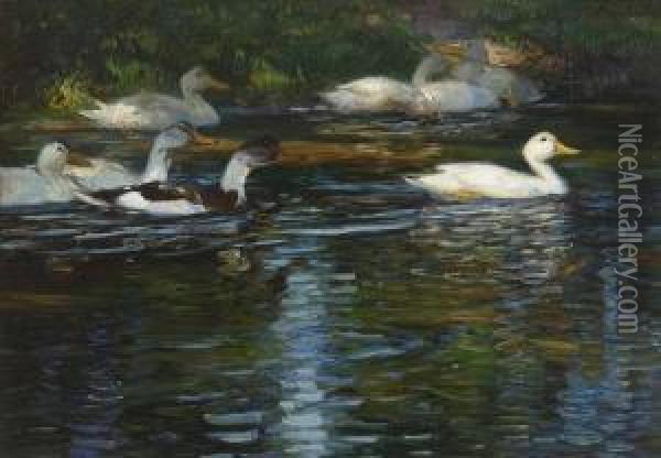 Enten Im Wasser. Oil Painting - Rudolf Schramm-Zittau