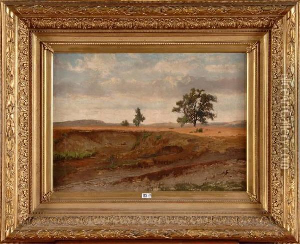 Terrains En Bruyere Oil Painting - Alfred De Knyff