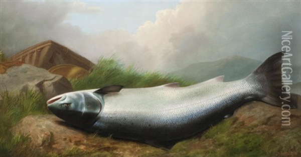 Salmon Oil Painting - John Russell