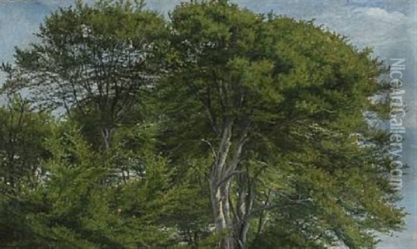 Tall Beech Trees Oil Painting - Janus la Cour