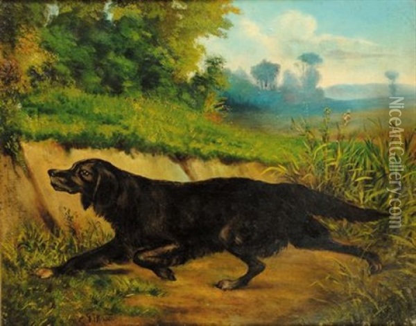 Cane Entro Paesaggi Oil Painting - Carlo Pittara