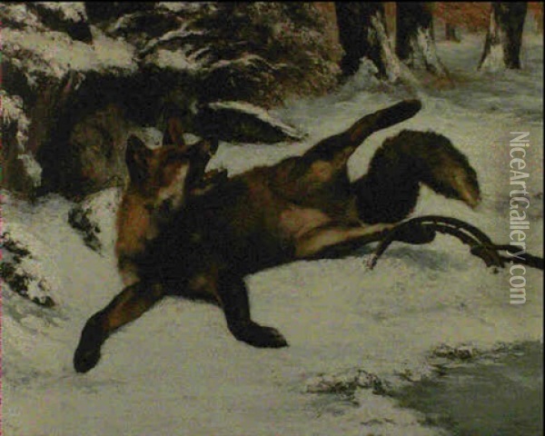 Renard Dans La Neige Pris Au Piege Oil Painting - Gustave Courbet