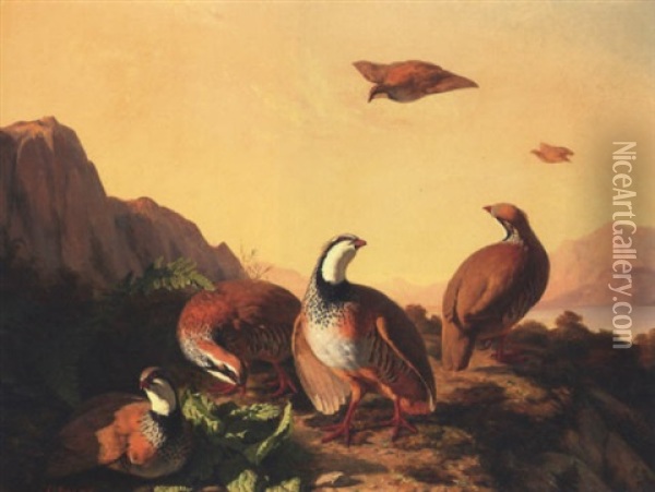 French Partridge In A Landscape Oil Painting - Simon Saint-Jean
