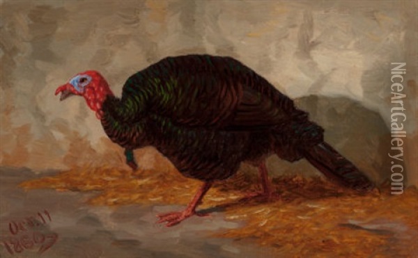 Turkey, 1860 Oil Painting - Marcus A. Waterman