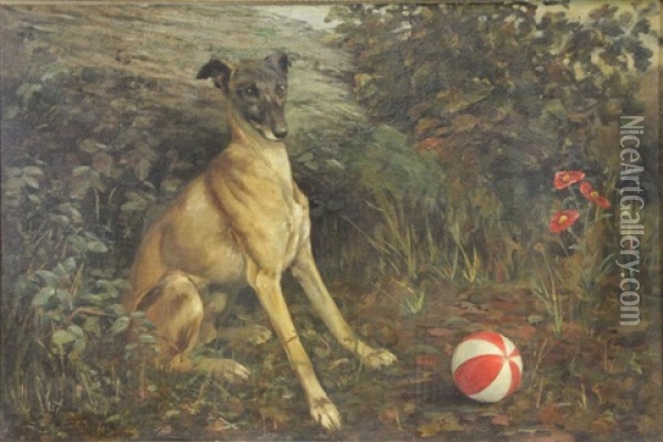 Seated Dog With Ball Oil Painting - John Emms