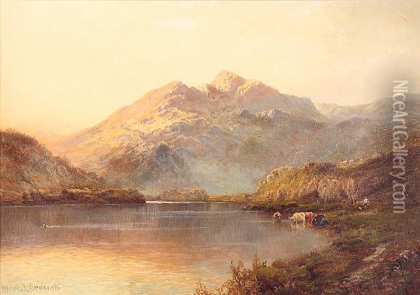 Ben Venue From Loch Achray Oil Painting - Alfred de Breanski