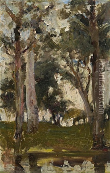 Through The Gums Oil Painting - Walter Herbert Withers