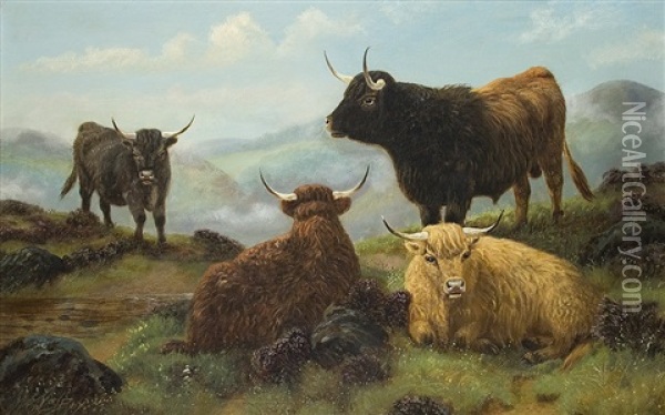 Highland Cattle Oil Painting - John Shirley Fox