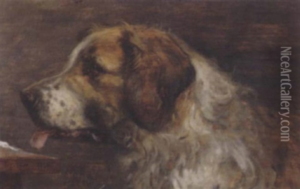 Darstellung Eines Bernhardinerhundes Oil Painting - Paul Friedrich Meyerheim