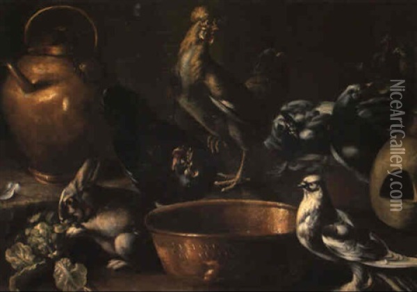 Animali Da Cortile Oil Painting - Giovanni Agostino (Abate) Cassana