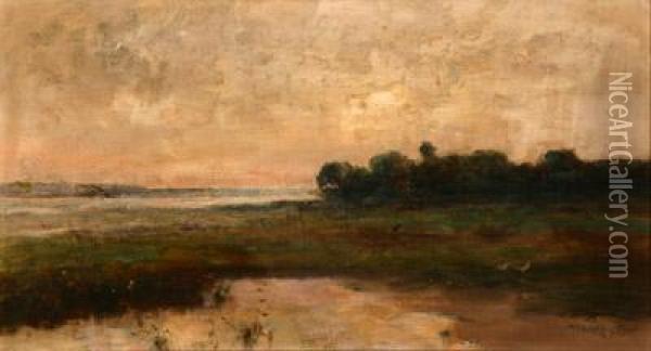 Potomac Marshlands At Sunset Oil Painting - Max Weyl