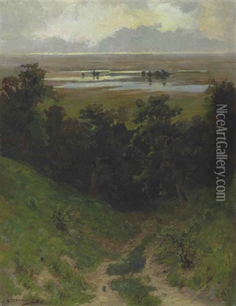 Flooded Plain Oil Painting - Sergei Ivanovich Svetoslavsky