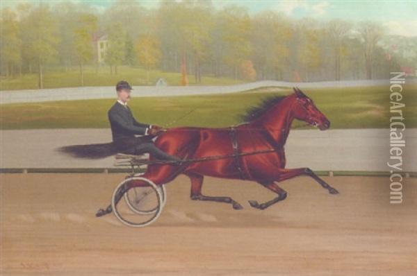 Count Weeks With Trotter In Old Fleetwood Park Oil Painting - James J. Mcauliffe