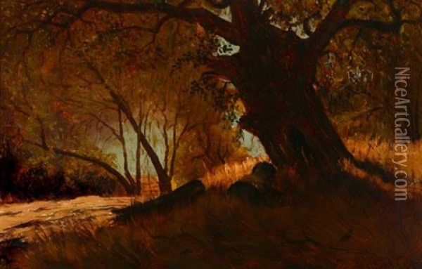 Oak Trees Landscape Oil Painting - Walter I. Cox