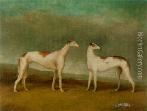 Two Greyhounds Oil Painting - John E. Ferneley