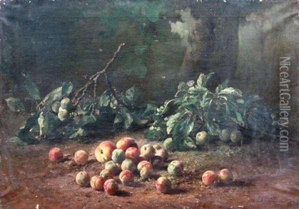 Nature Morte Aux Fruits Oil Painting - Emile Gustave Couder