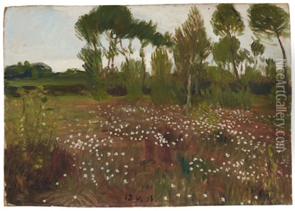 Heidelandschaft Im Moor Mit Wollgras Oil Painting - Otto Modersohn
