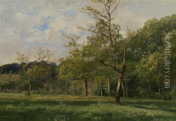 Summer Landscape With Trees Oil Painting - Pierre Emmanuel Eugene Damoye