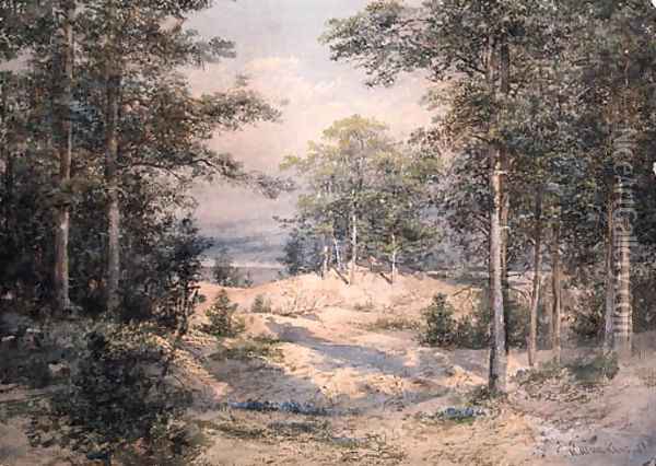 Forest Glade in Sunlight Oil Painting - Ivan Shishkin