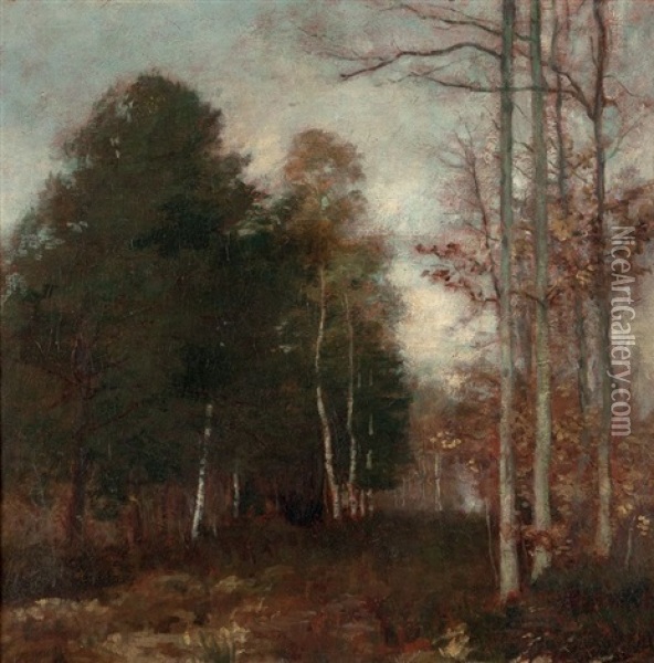 Paysage Arbore Oil Painting - Henri Gervex