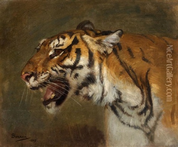 Tete De Tigre De Cochinchine Oil Painting - Gustave Surand