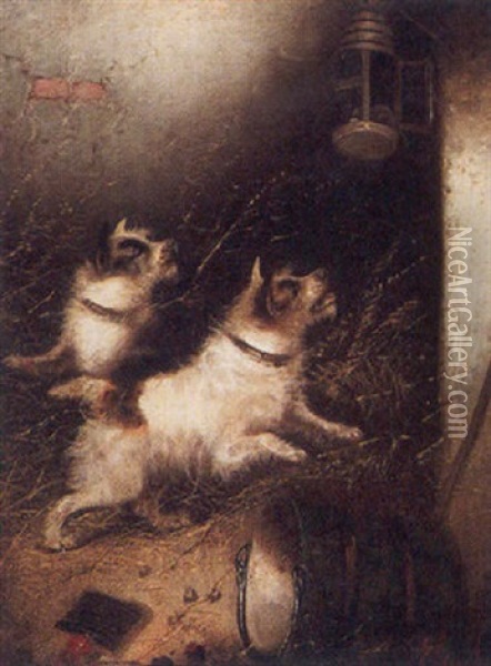 Terriers Alarm Oil Painting - Edward Armfield