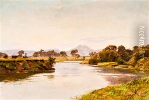 Evening On The Forth, Looking Towards Ben Ledi Oil Painting - Duncan Cameron
