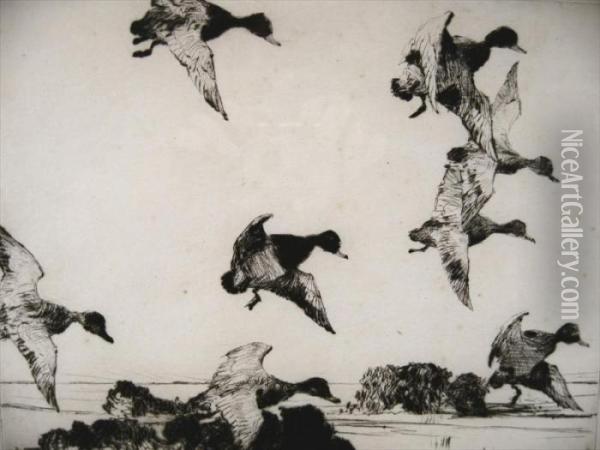 Ducks Oil Painting - Frank Weston Benson