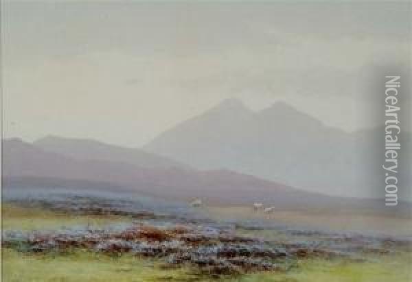 Rannoch Moor Perthshire Oil Painting - Charles Edward Ii Brittan