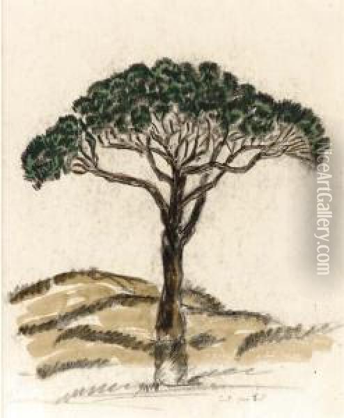 Pine Tree, Iles De Lerins Oil Painting - Charles Prendergast