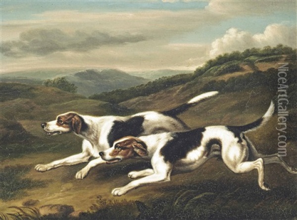Foxhounds (after Philip Reinagle) Oil Painting - Samuel Raven