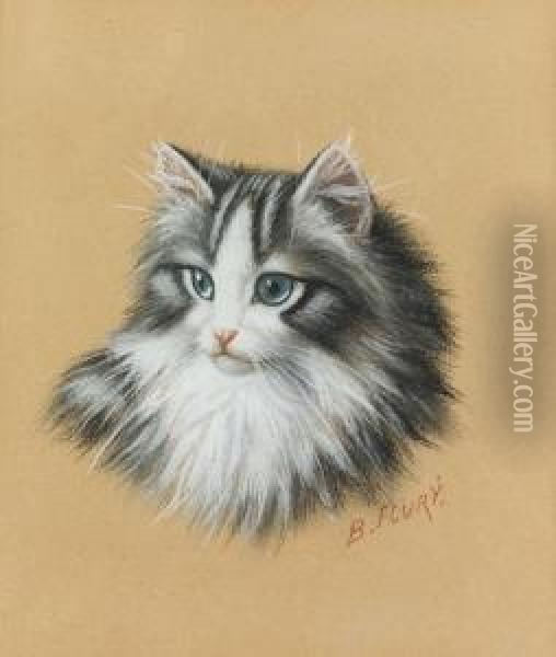 Kopf Eines Katzchens. Oil Painting - Burkhard Katzen-Flury
