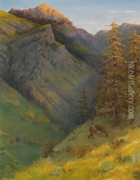 The Augustenberg From The Malbuntal Valley Oil Painting - Hans Gantner