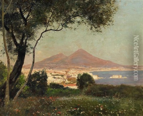 Fruhlingstag Uber Der Bucht Von Neapel Oil Painting - Heinrich Hermanns