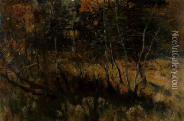 Wald Mit Jungen Birken In Der Herbstsonne Oil Painting - Eugen Felix Prosper Bracht