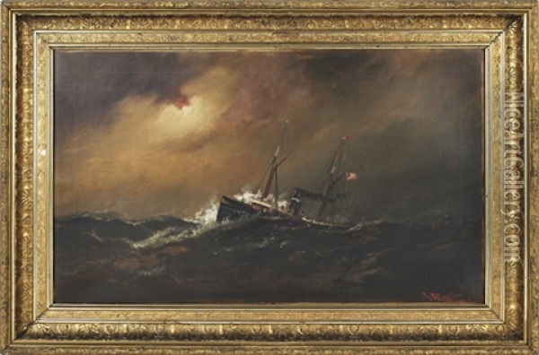 Seascape With An American Steamship Oil Painting - Alexander Charles Stuart