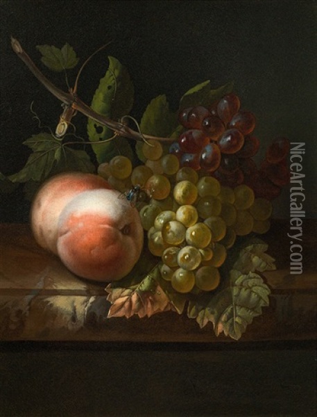 Still Life With Grapes, Peaches And A Fly Oil Painting - Rachel Ruysch