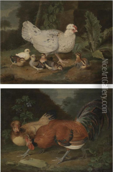 A Landscape With A Cockrel And A Hen;
 A Landscape With A Hen And Her Chicks Oil Painting - Jacob Samuel Beck