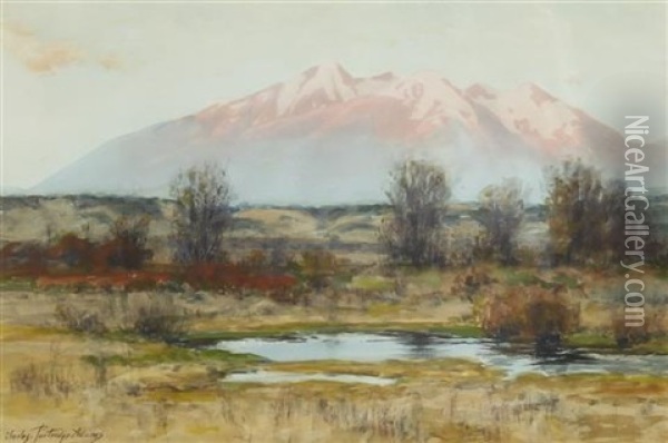 Sierra Blanca At Sunset From San Luis Valley Near Garland Oil Painting - Charles Partridge Adams