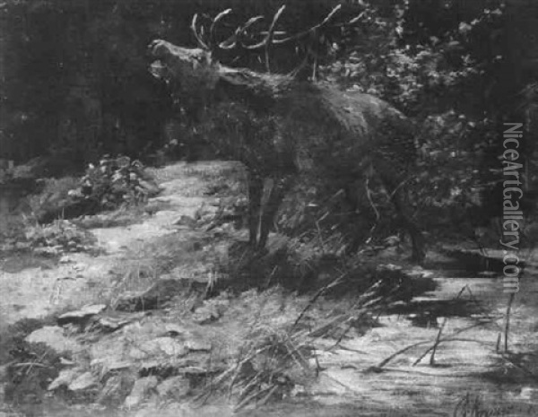 Rohrender Hirsch An Einem Weiher Im Wald Oil Painting - Christian (Johann Christian) Kroener