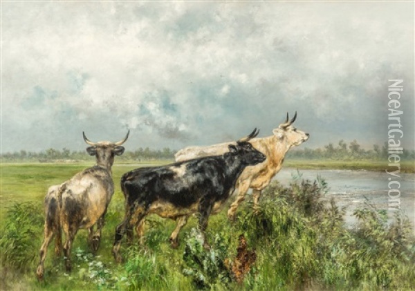 Cows By The River Lys Oil Painting - Xavier De Cock