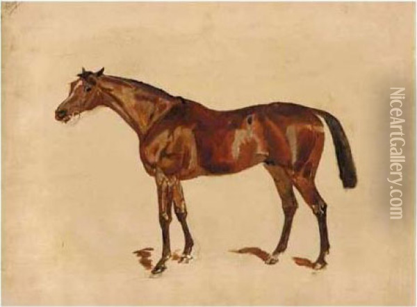 Sketch Of A Bay Horse Oil Painting - James Lynwood Palmer
