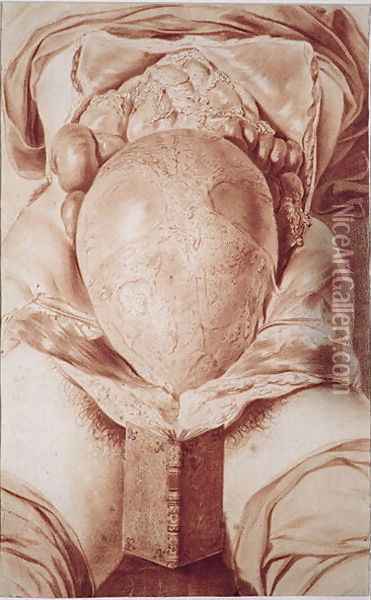 MS Hunter 658 Plate XXVI Drawing from William Hunters 1718-83 Anatomy of the Human Gravid Uterus, 1774 Oil Painting - Jan van Rymsdyk