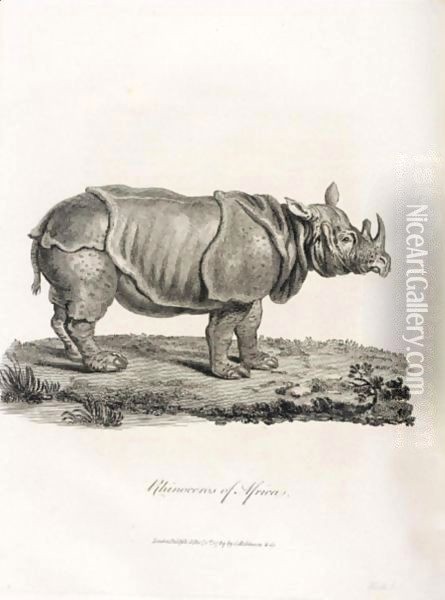 Rhinoceros Oil Painting - Bruce James Talbert