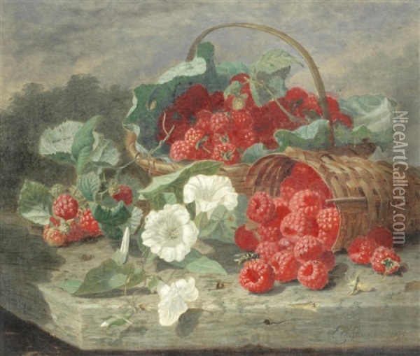 Still Life Of Raspberries, Cabbage Leaves & Convolvulus Oil Painting - Eloise Harriet Stannard