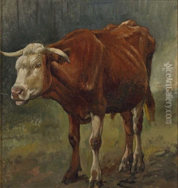 Sammlungen Biberach. Kuh Vor Waldhintergrund Oil Painting - Christian Friedrich Mali