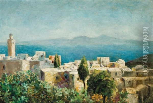 Vue De Sidi Bou-said Oil Painting - Francois Nicot