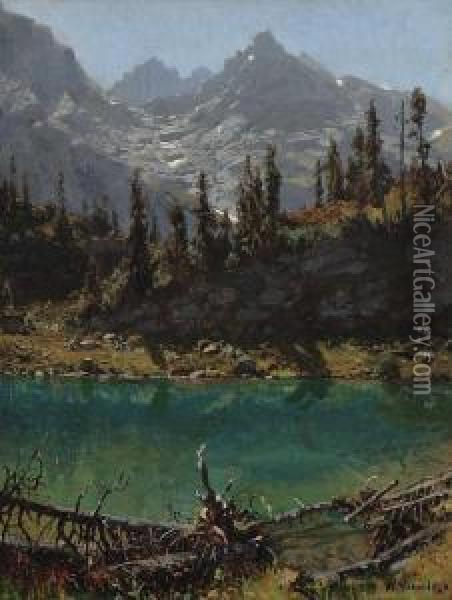 Blick Vom Schachensee Auf Die Dreitorspitze Oil Painting - Robert Schultze