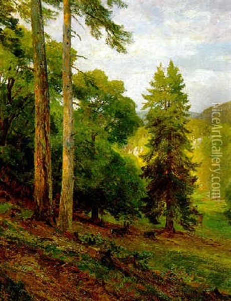 Bewaldete Landschaft Bei Merkenstein Oil Painting - Hugo Darnaut